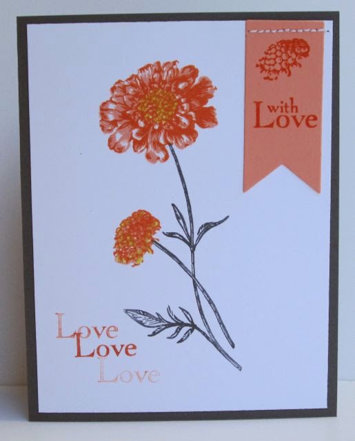 Sweet Irene's Inspirations The Very Best of Stampin' Up 2013 Catalog