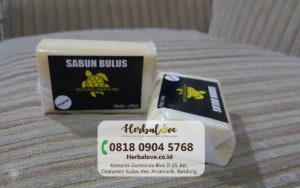 supplier sabun bulus Yogyakarta” height=