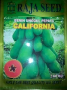 Cara menanam pepaya california, buah pepaya, manfaat pepaya, jual benih pepaya, toko pertanian, toko online, lmga agro