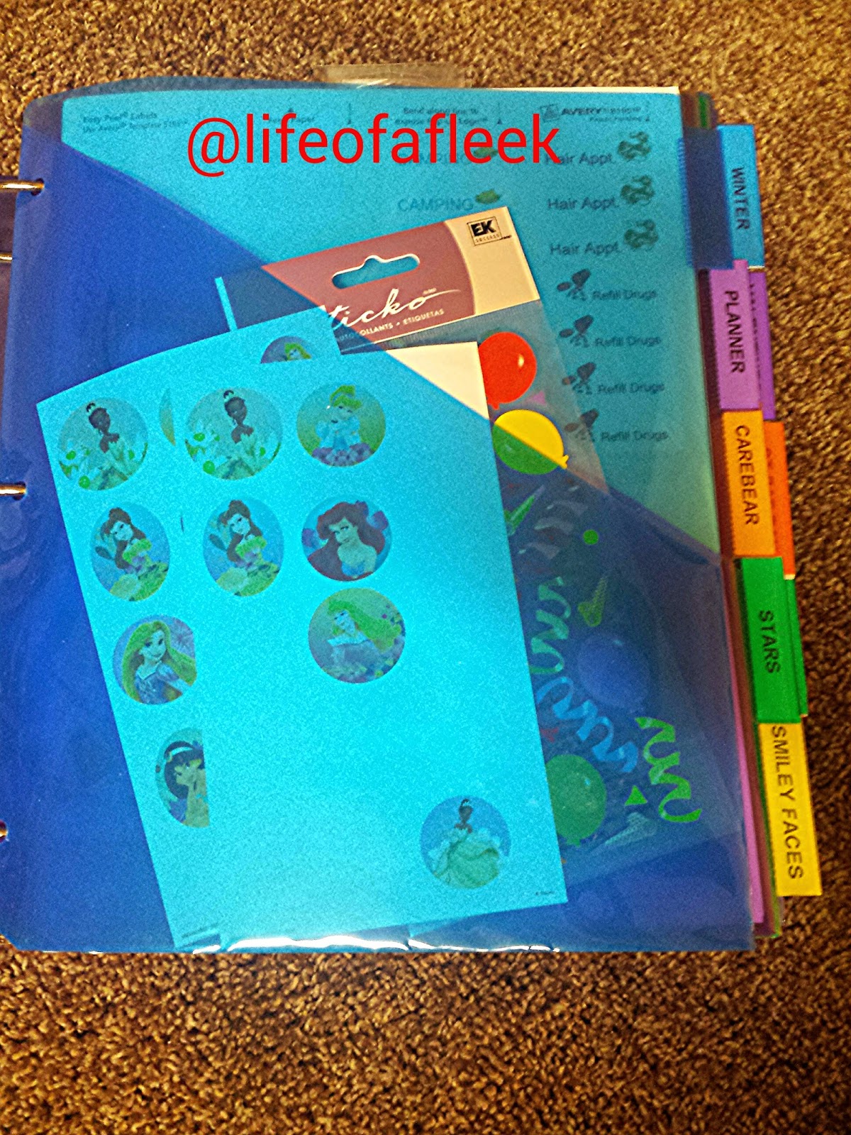 Life of a Fleek Sticker Binder