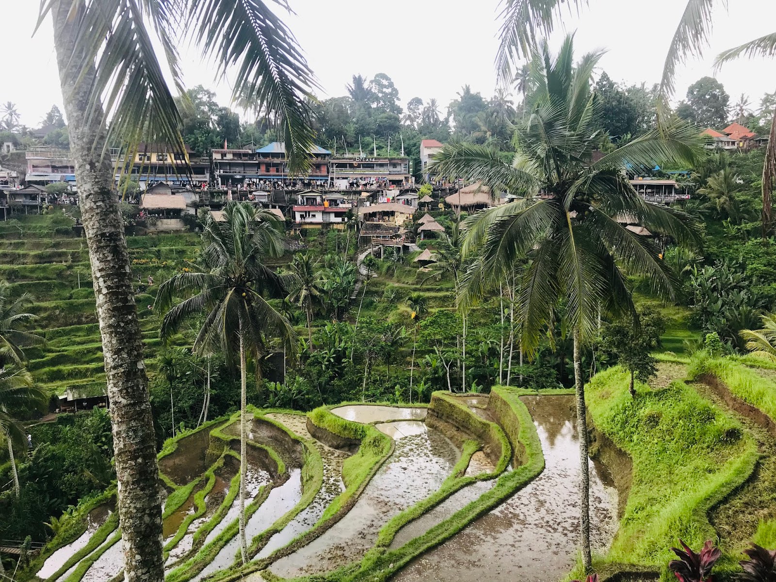 Going solo: Bali