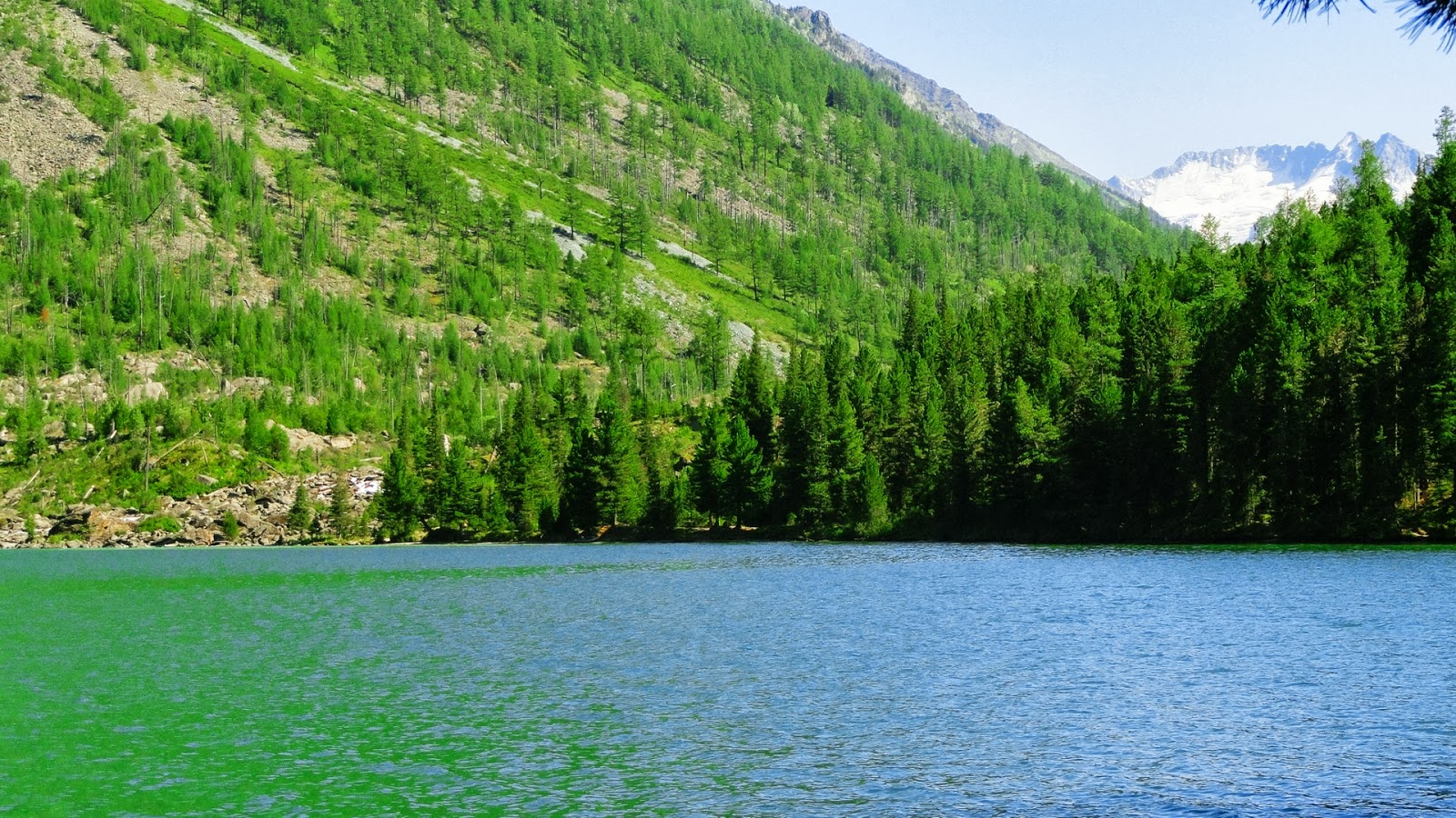 Desktop HD Wallpapers: November 2013