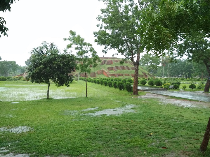 Primo F8 review Camera Sample