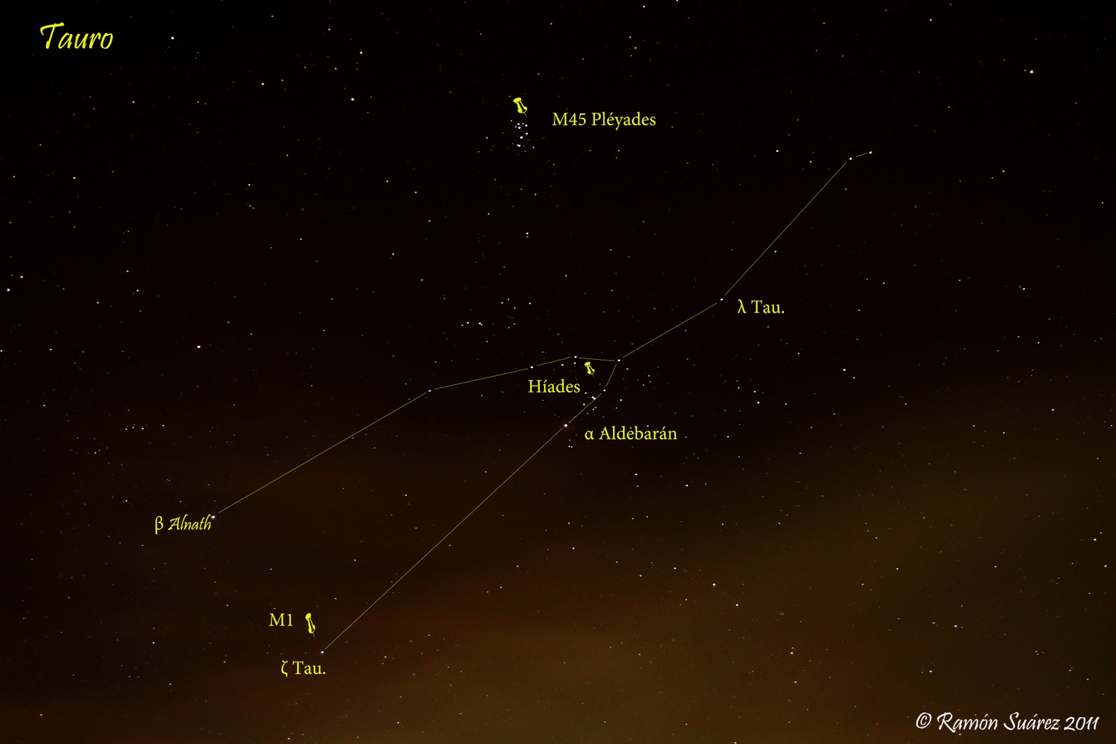 Estrellas De La Constelación De Tauro