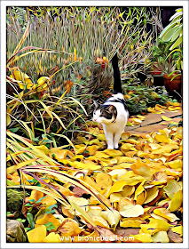 Melvyn's Autumn Adventure ©BionicBasil® Caturday Art