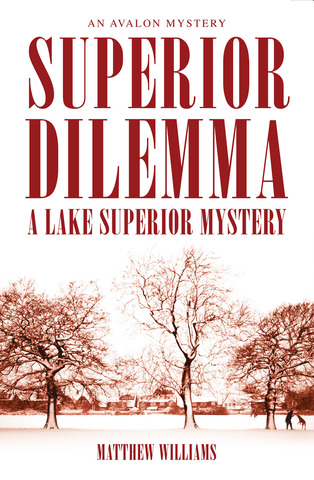 Matrimony and Murder (Avalon Mystery)