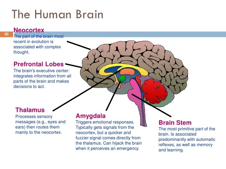 Cardiotoxicity. Can be associated with the. The page you're looking for could not be found. Spending and saving money. Please try again later.