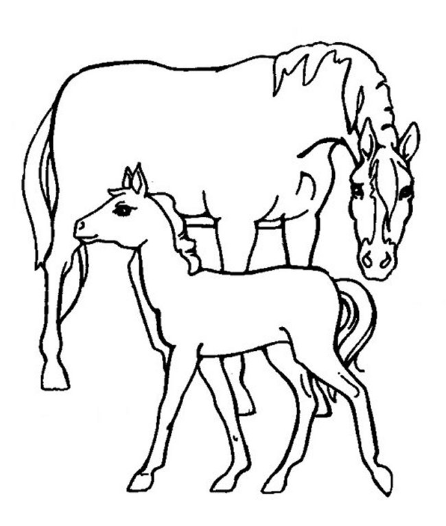 kleurplaten dieren veulens tekening paardjes kleurplaten dieren kleurplaten dieren veulens tekening paardjes kleurplaten dieren