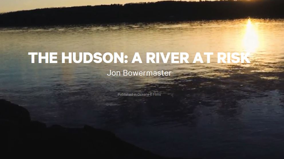 The Hudson: A River At Risk