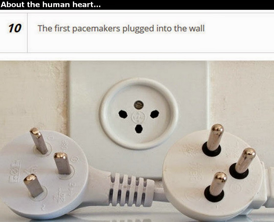 Chuck's Fun Page 2 Human Heart trivia 25 images