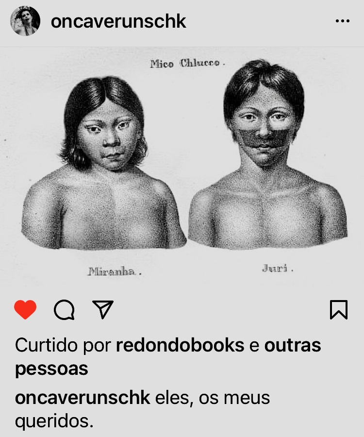 O som do rugido da onça Adriana Balreira O som do rugido da onça Adriana Balreira