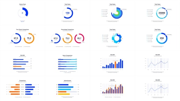 Infographic Animation Template After Effects Template