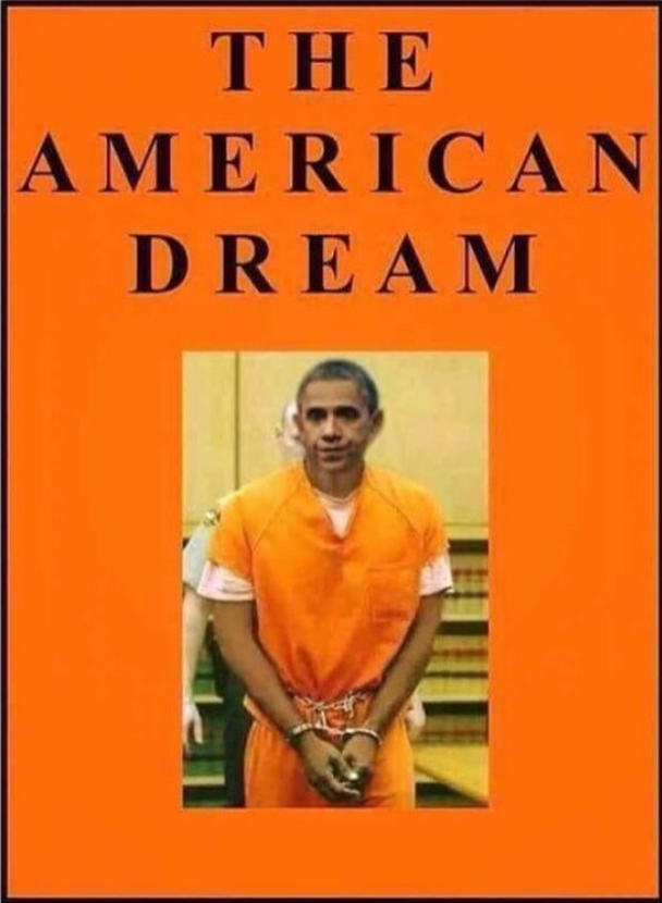 90 Miles From Tyranny : Orange Man Bad...
