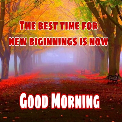 Top 50 Good Morning Quotes to Start the fresh Day Top 50 Good Morning Quotes to Start the fresh Day