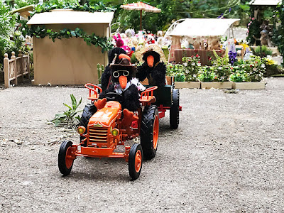 Meine Grune Wiese Juli 2010