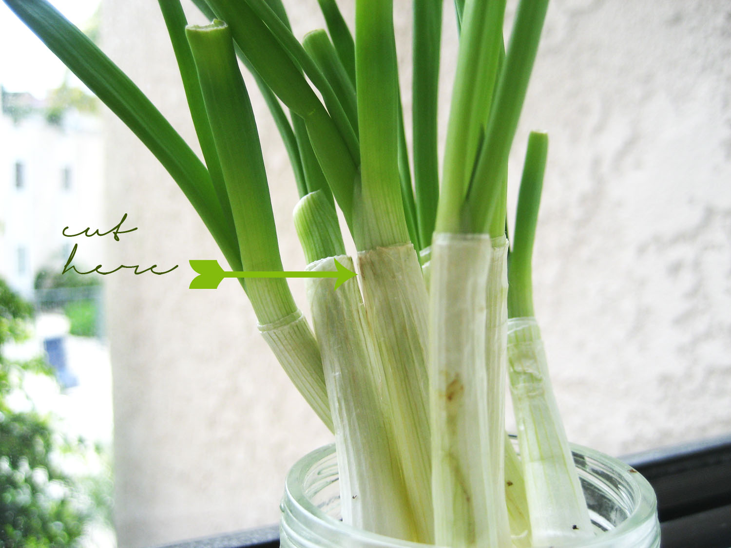 how i keep sane April 2012