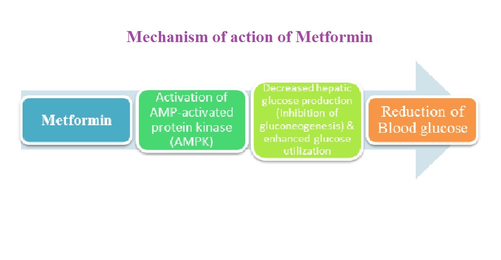 Does ivermectin kill mites on dogs
