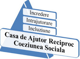 SECTIUNEA INTERNA