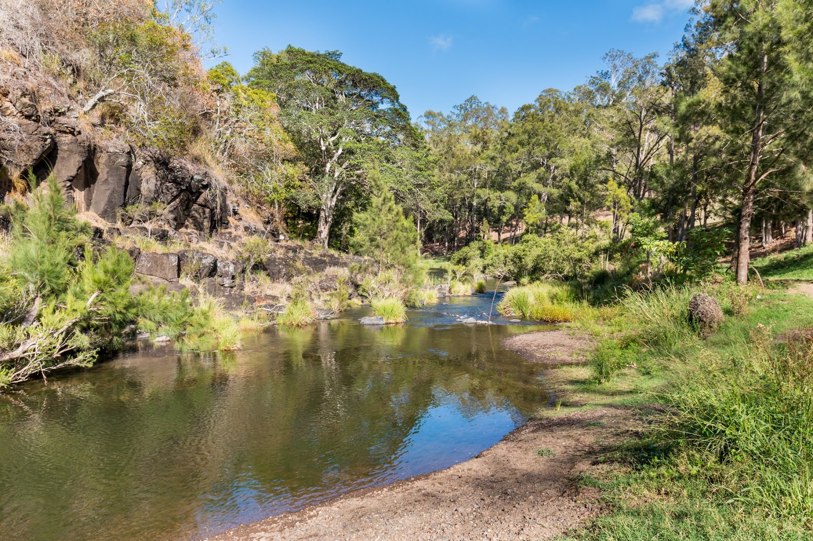 National Park Odyssey Andrew Drynan Park, Running Creek, QLD.