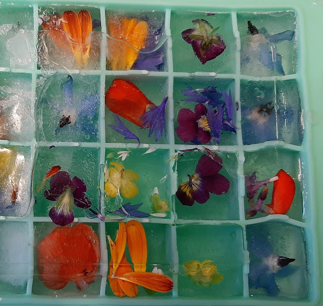 Flowery Ice Cubes