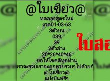 ใบ เขียว 1 12 61