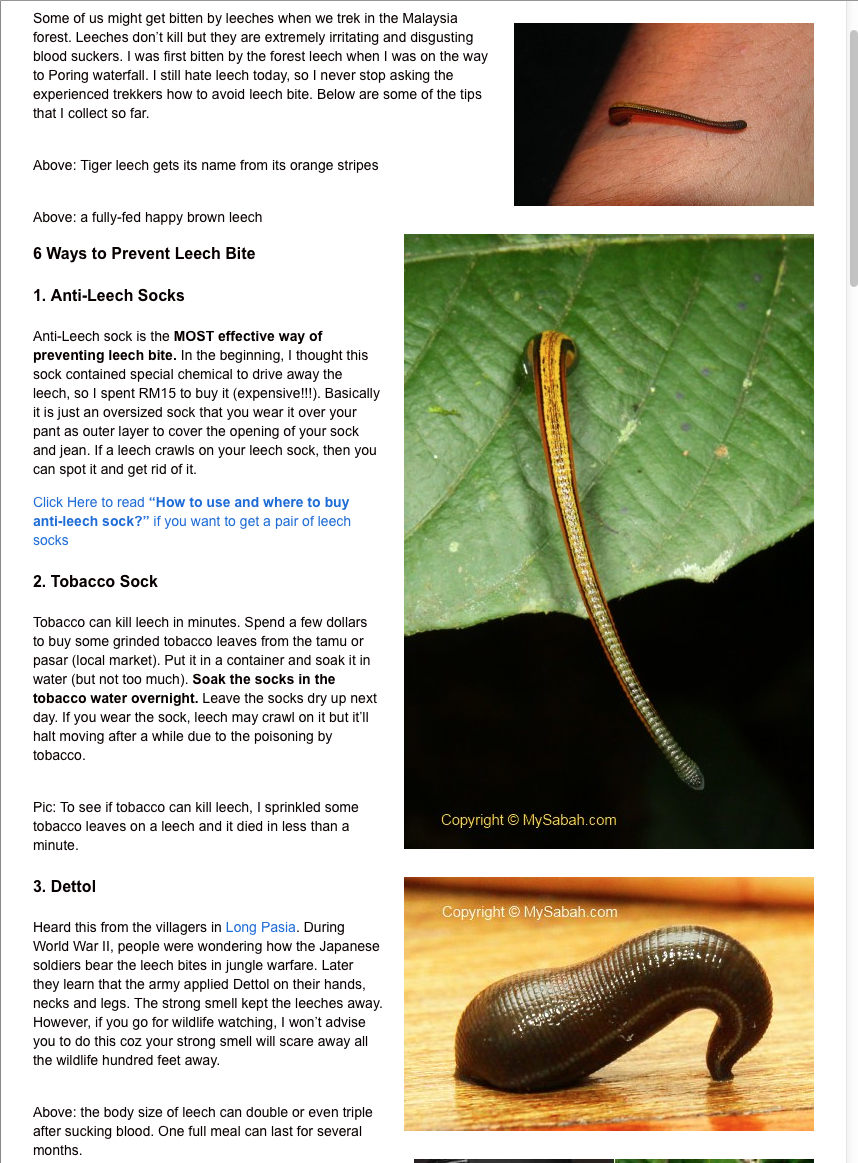Malaysian Nature Society Kuching Branch How to prevent leech bite?