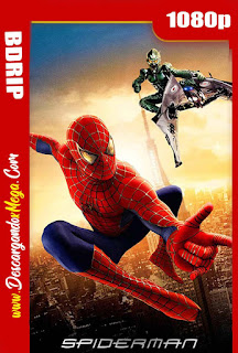 El Hombre Araña (2002)  