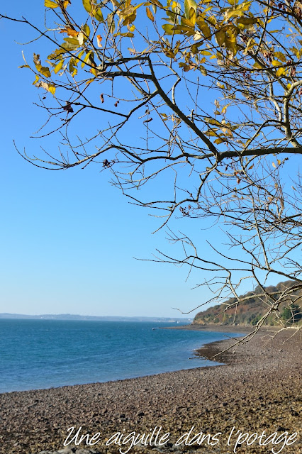 Bord de mer 