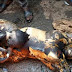 Ochanja Fire Outbreak: Mother And Her Child Found Dead And Burnt Totally (Viewers Discretion) 