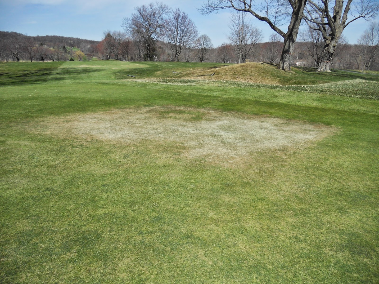 Mahopac Golf & Beach Club Greens Department