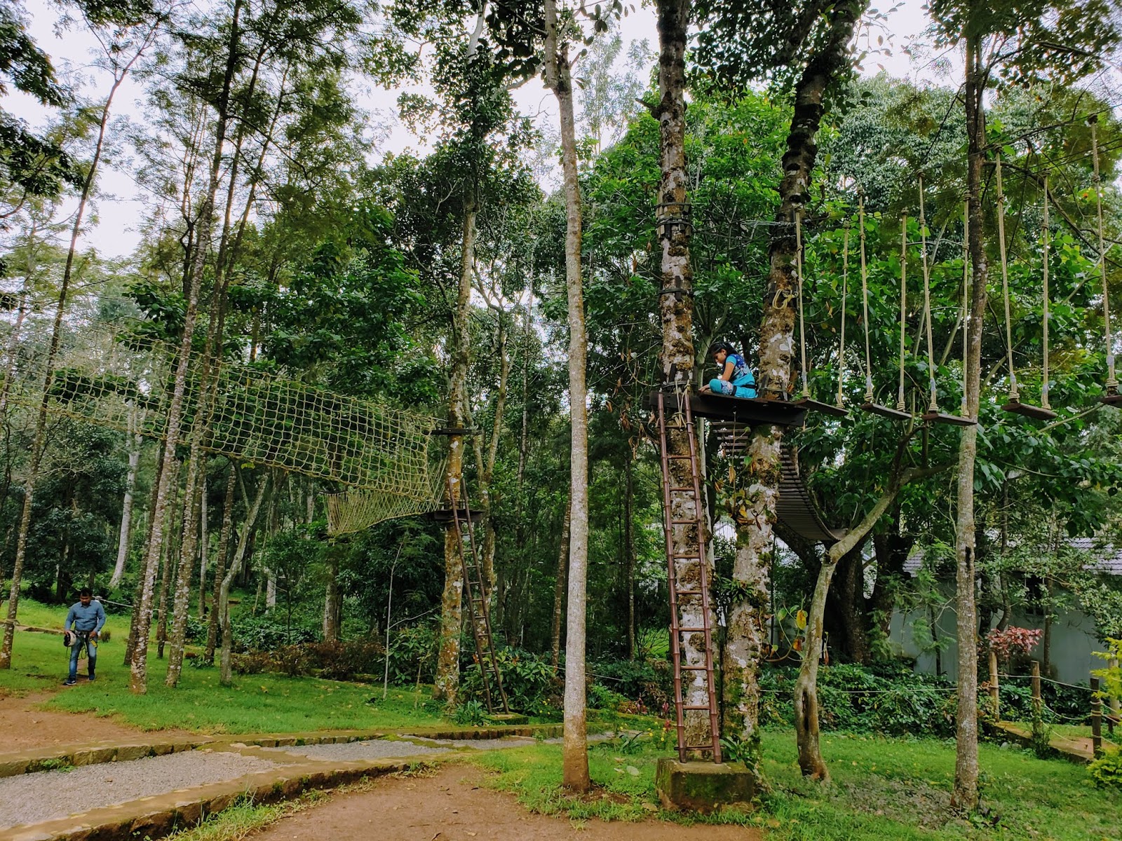 Yercaud Visit A Perfect Getaway for a Blissful Weekend