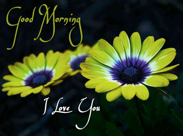 Romantic good morning images for girlfriend Romantic good morning images for girlfriend