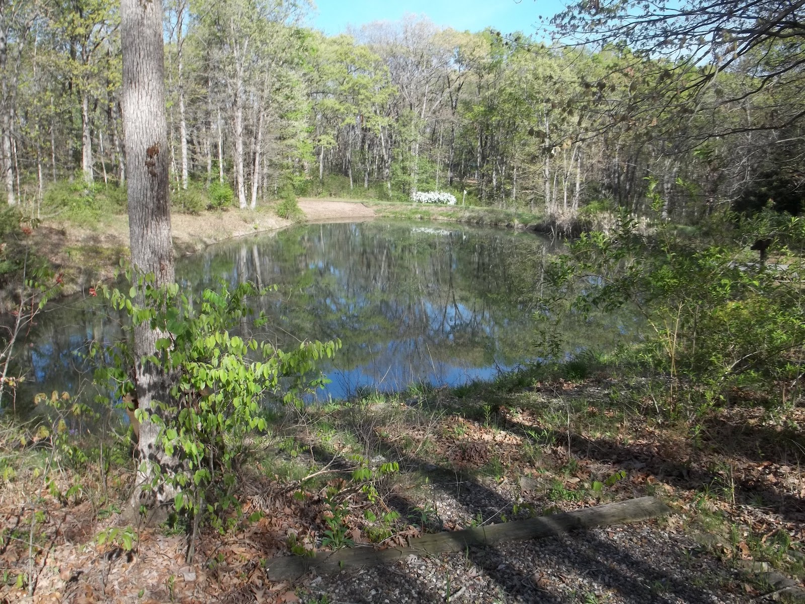 simply iowa Peggy's Ponderosa!