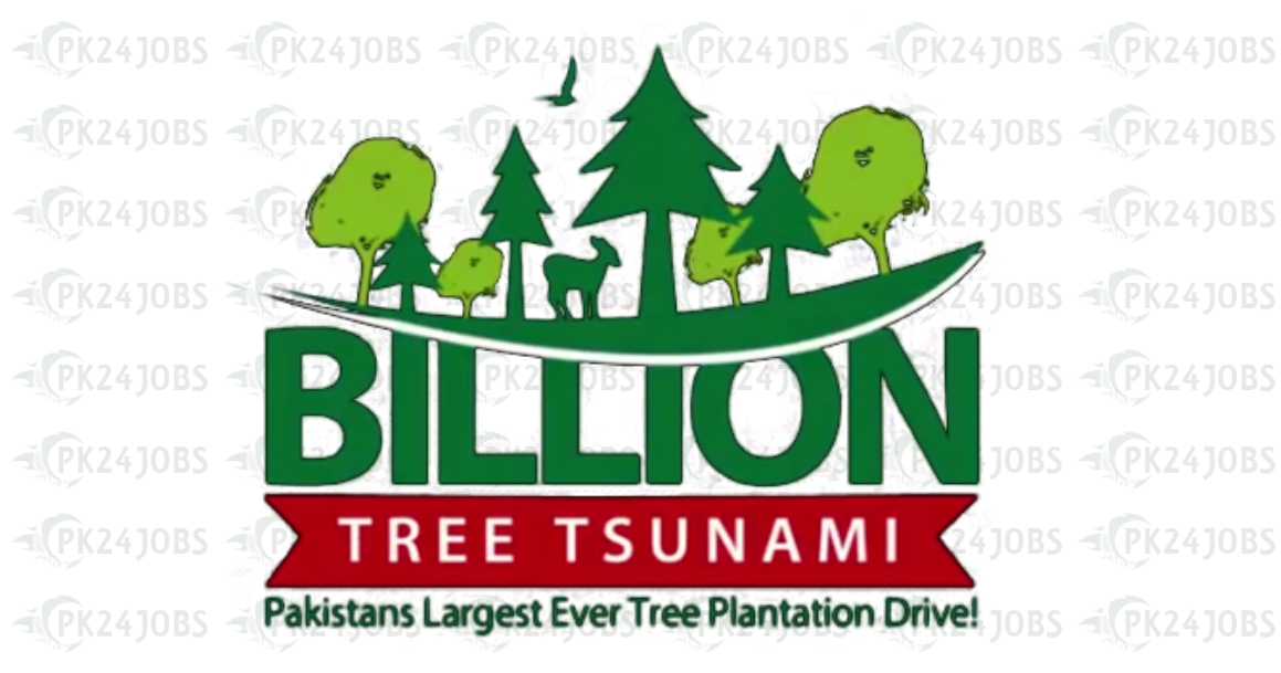 Ten Billion Tree Tsunami Programme TBTTP AJK Jobs 2020 ten-billion-tree-tsunami-programme-tbttp-ajk-jobs-2020