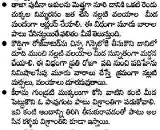 TELUGU WEB WORLD: Tips for Better Eye Sight in Telugu
