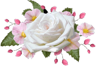 Lindas%2Bflores%2Bem%2Bpng%2B%2B%252810%