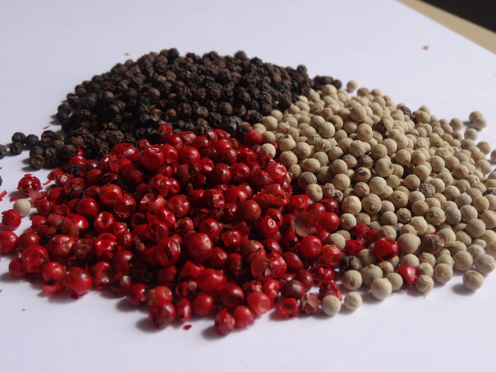 Black Pepper Farming in India काली मिर्च की खेती भारत में