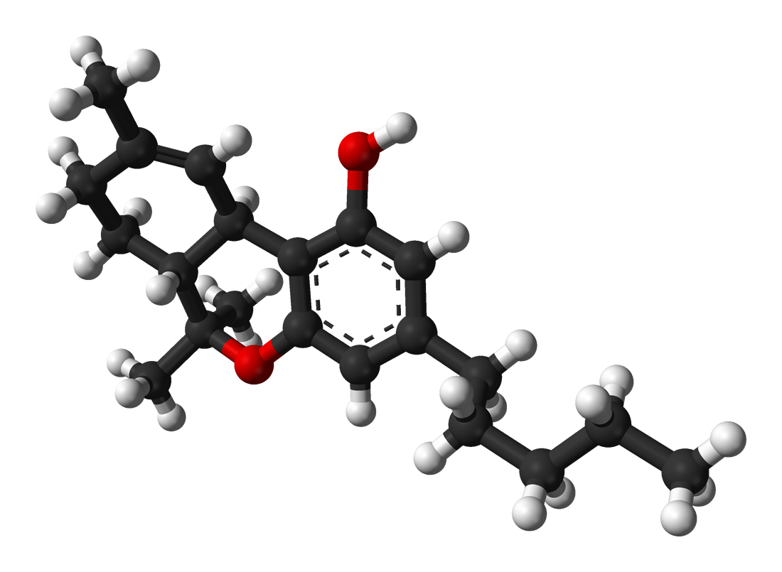 ¿Cuánto tiempo tarda el THC en abandonar su sistema?