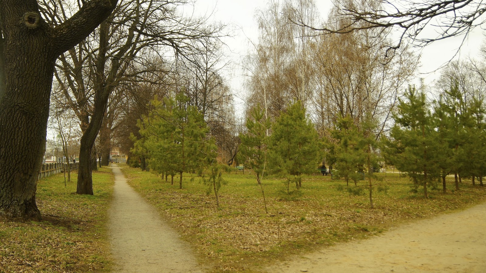 У графского парка