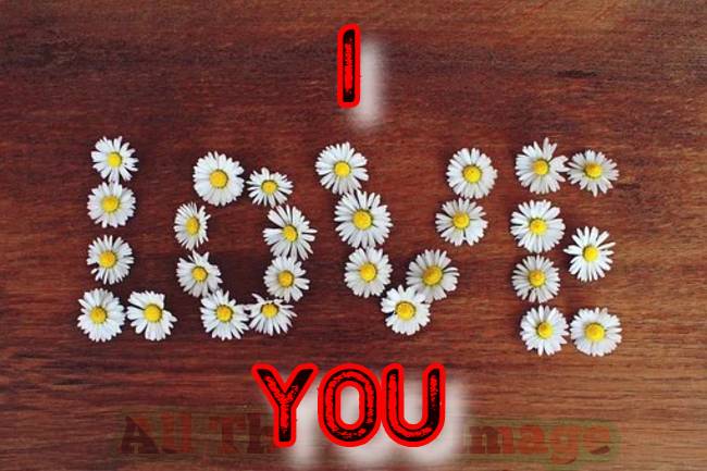 1 + 1= I Love You Images ! I Love You Photos Download 1 + 1= I Love You Images ! I Love You Photos Download