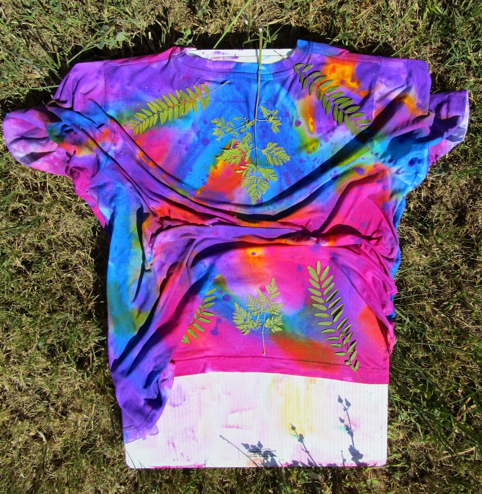 Jeanne Aird's Art Fabric and Quilts: Sun Printing and Stenciling a T-Shirt