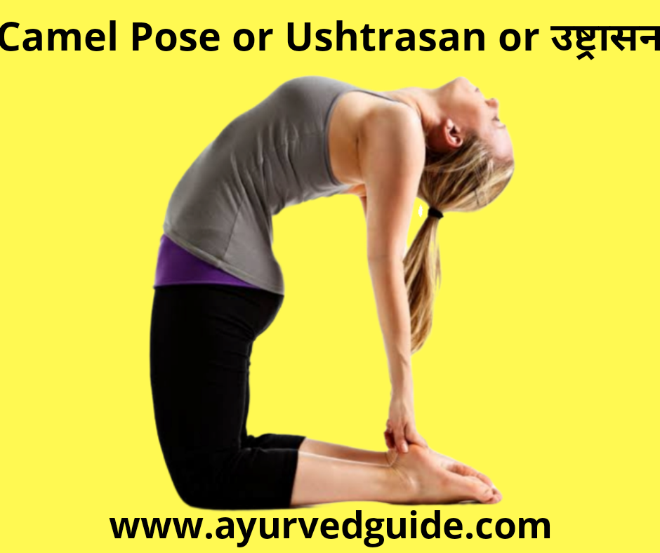 Treatment GERD 12 Yoga Poses Acidity Amlapitta