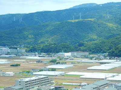 守山からの景色