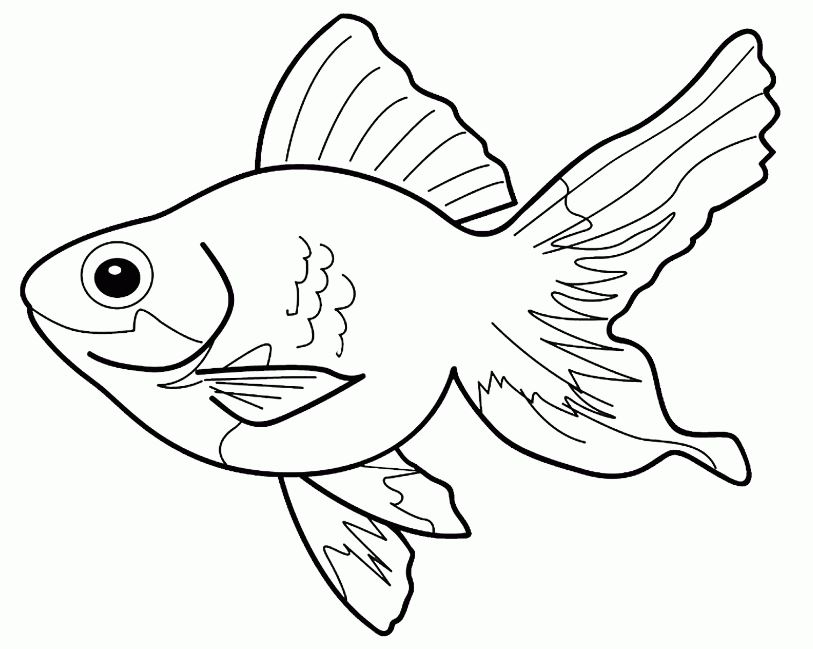 100 Gambar Ikan : Cara Mewarnai Sketsa Gambar Ikan untuk Anak-Anak TK