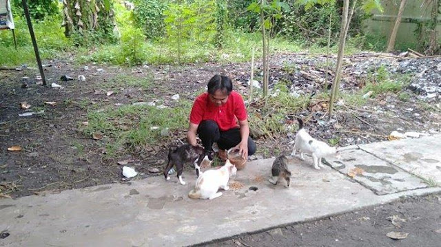 Berkat Menyelamatkan Kucing, Saya Selalu Dimurahkan Rezeki Hingga Kaya Raya