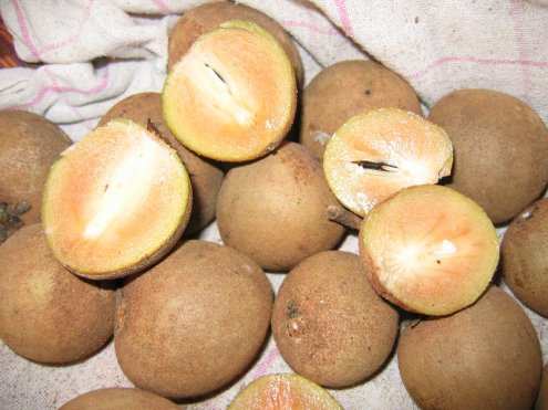 Le blog d'Alex J. URI Sapotille et Corossol