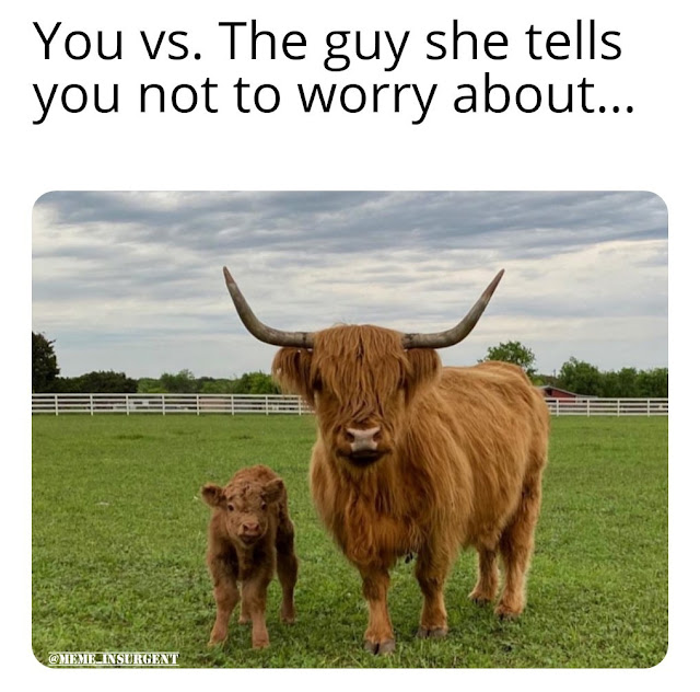 How Lonely Are You Meme 10 5e8172fe608b1