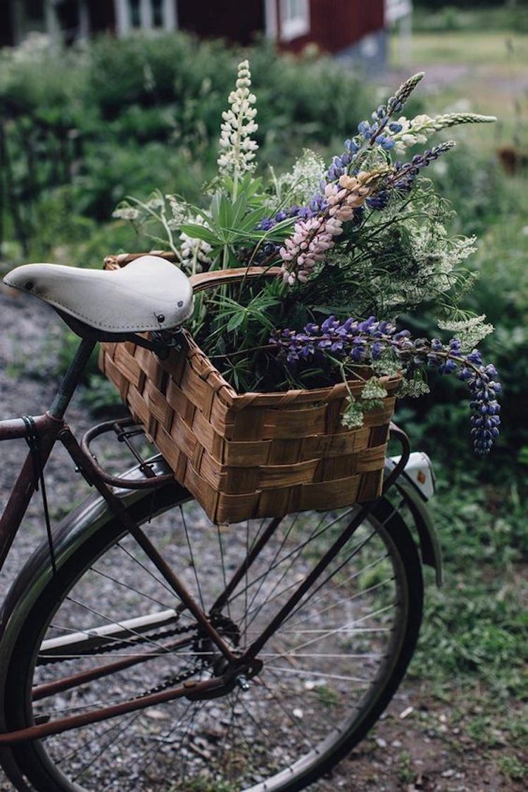 6 Simple Foraged Floral Displays For Midsummer’s Eve