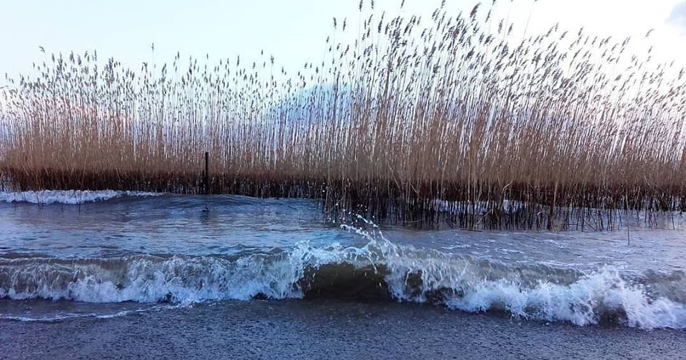 Ndotesit Potenciale ne burimet natyrore te liqenit te Ohrit