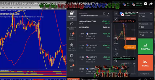 forex 100 stratégia